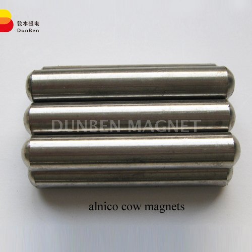 Alnico 5 Cow Magnet, Alnico 5 Cow Pill, Rod / Bar Alnico 5 Cow Magnets, Cow Alnico Magnet with curved ends, Standard Cast AlNiCo 5 Cow Magnets